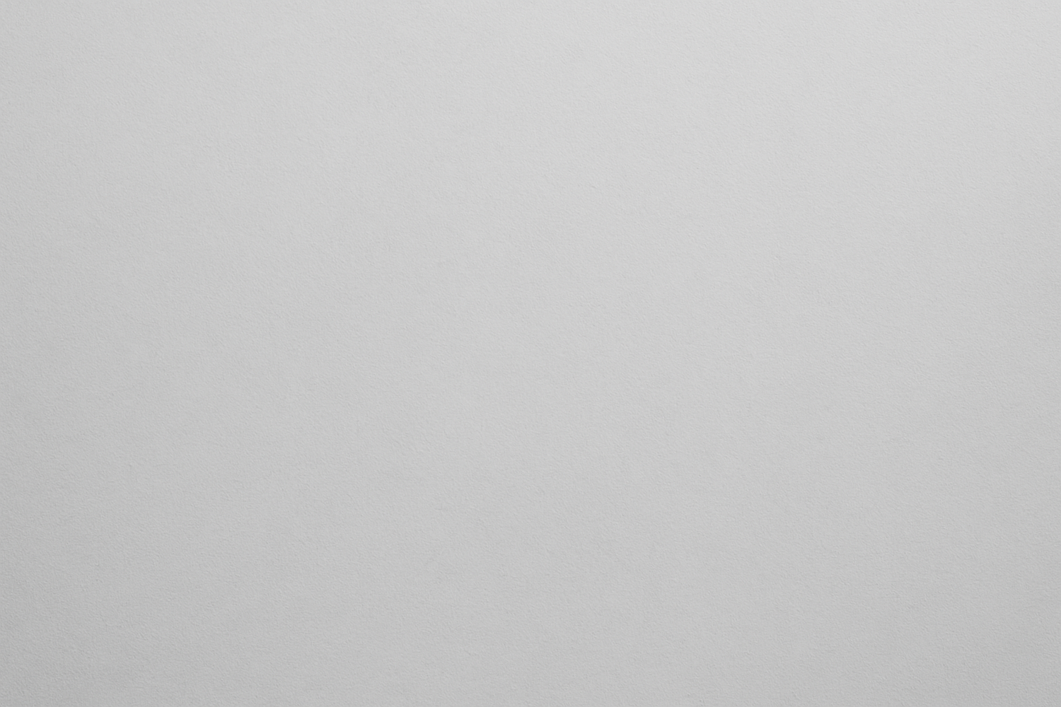 light grey backhround